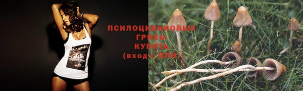 не бодяженный Армянск