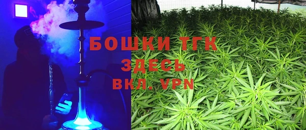 молекула духа Аркадак