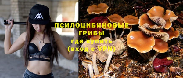 не бодяженный Армянск