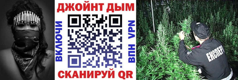 Марихуана сатива Сунжа